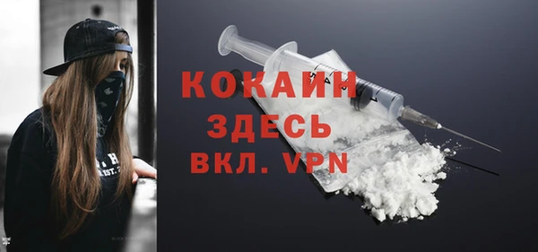 дживик Абинск